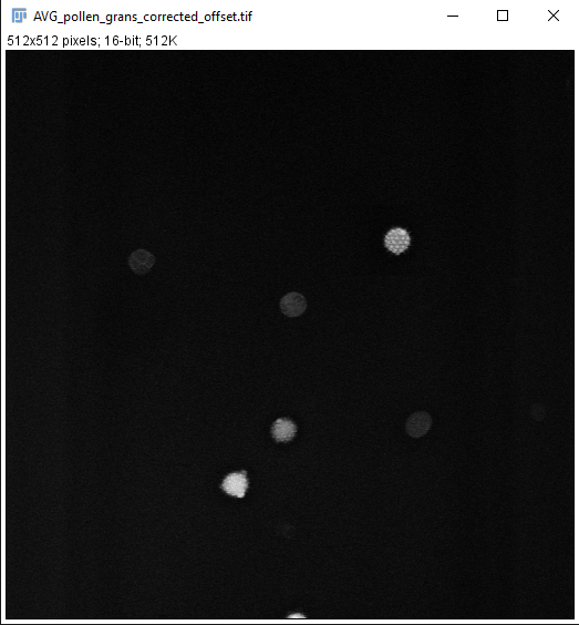 An average of pollen grain images collected by Resonant Galvo is presented